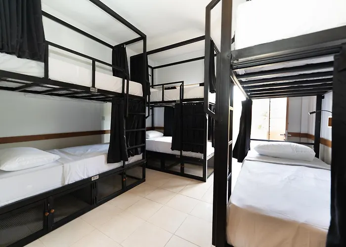 Hostel Mad Monkey